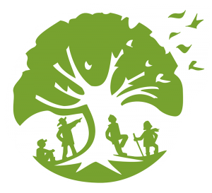 Website Design Heathfield
