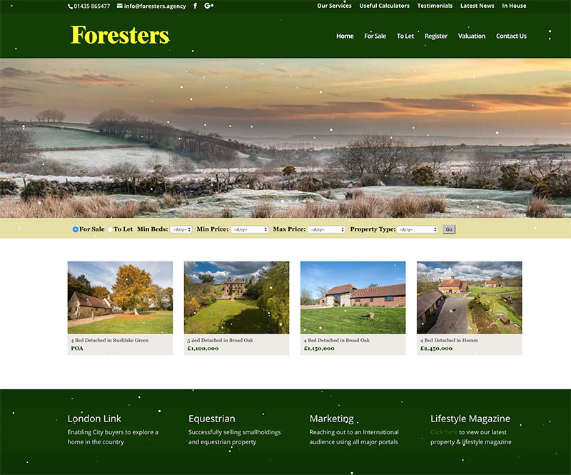 Estate Agent Heathfield