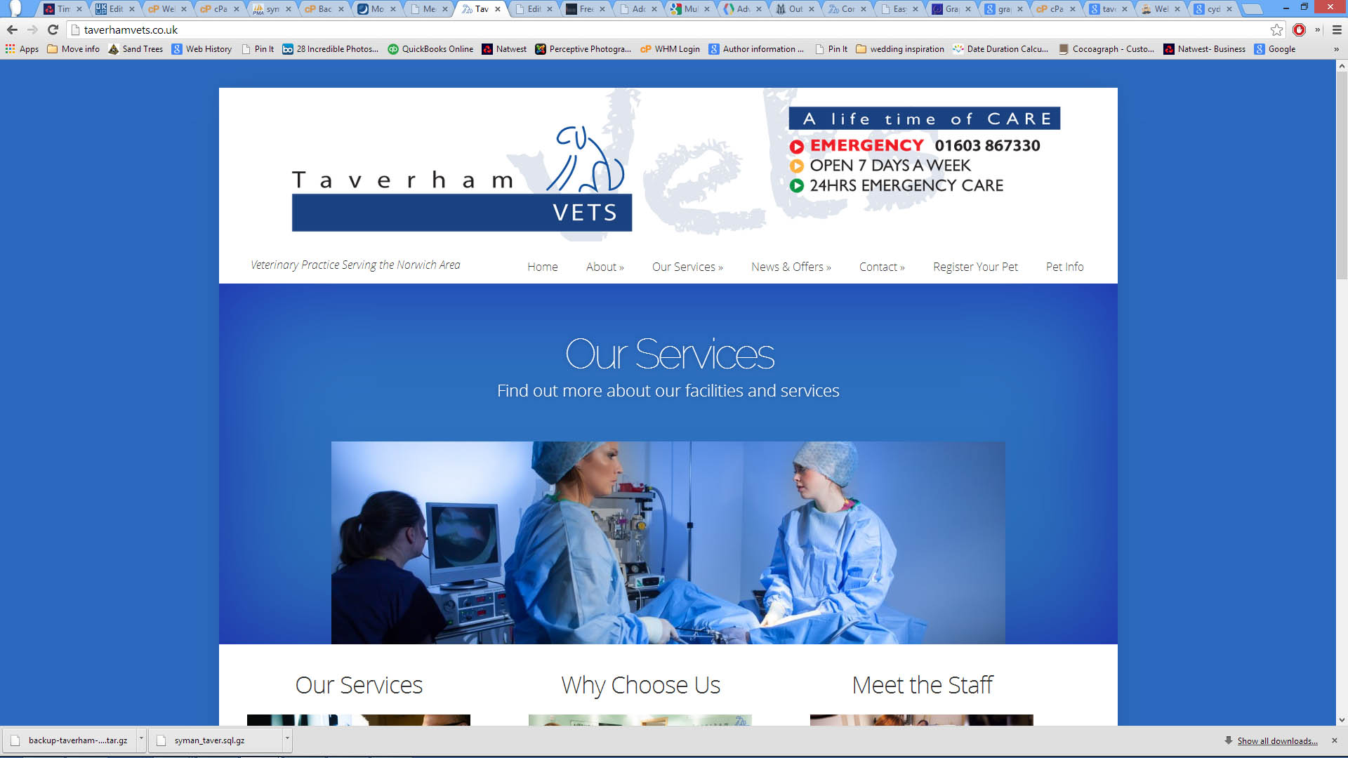 Taverham Vets Website Goes Live