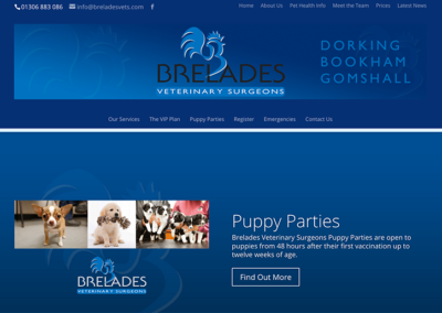 Brelades Vets Website